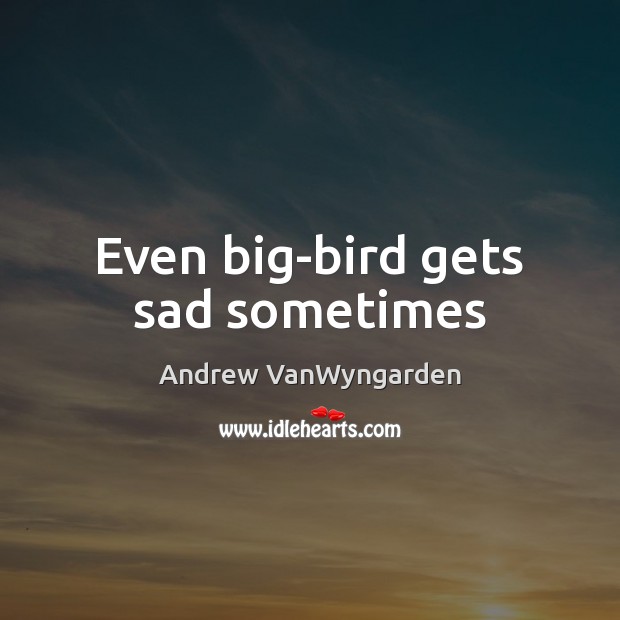 Even big-bird gets sad sometimes Andrew VanWyngarden Picture Quote