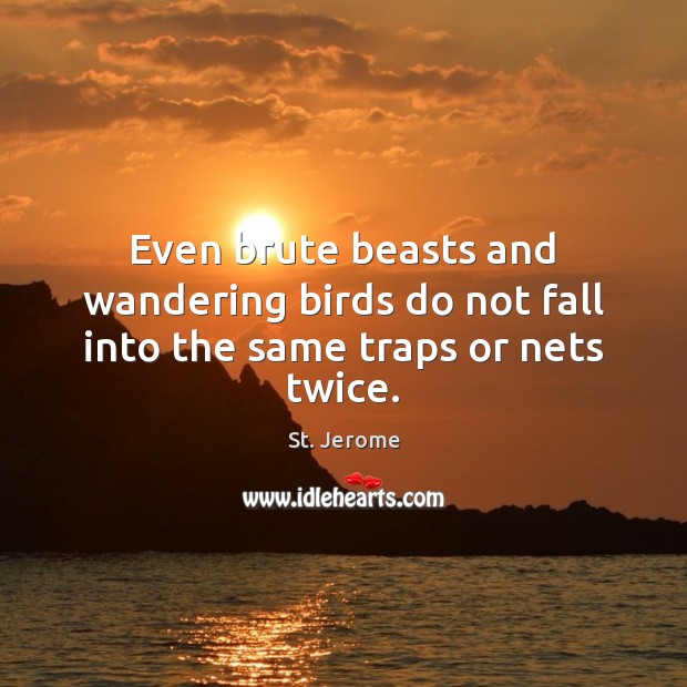 Even brute beasts and wandering birds do not fall into the same traps or nets twice. St. Jerome Picture Quote