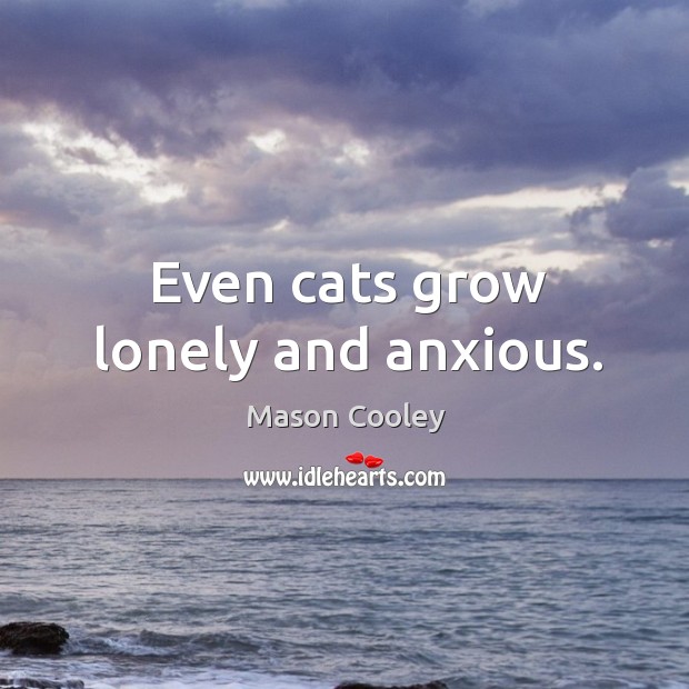 Even cats grow lonely and anxious. Mason Cooley Picture Quote