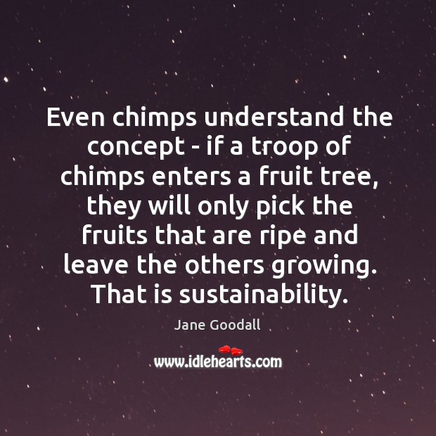 Even chimps understand the concept – if a troop of chimps enters Jane Goodall Picture Quote