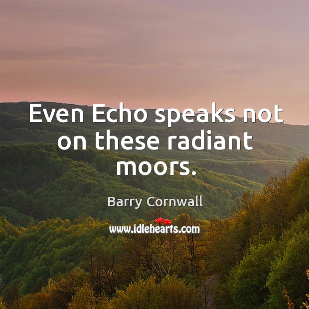 Even echo speaks not on these radiant moors. Barry Cornwall Picture Quote