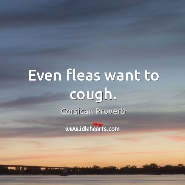 Even fleas want to cough. Corsican Proverbs Image