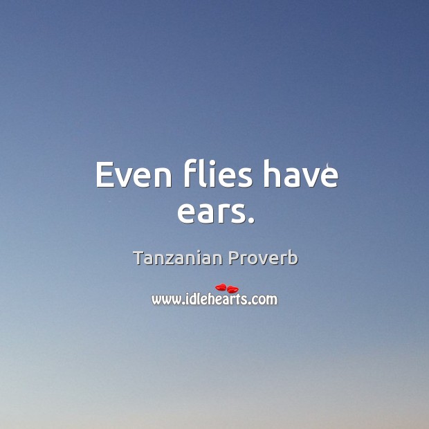 Even flies have ears. Tanzanian Proverbs Image
