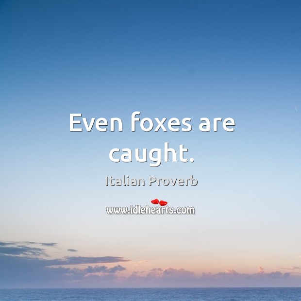 Even foxes are caught. Image