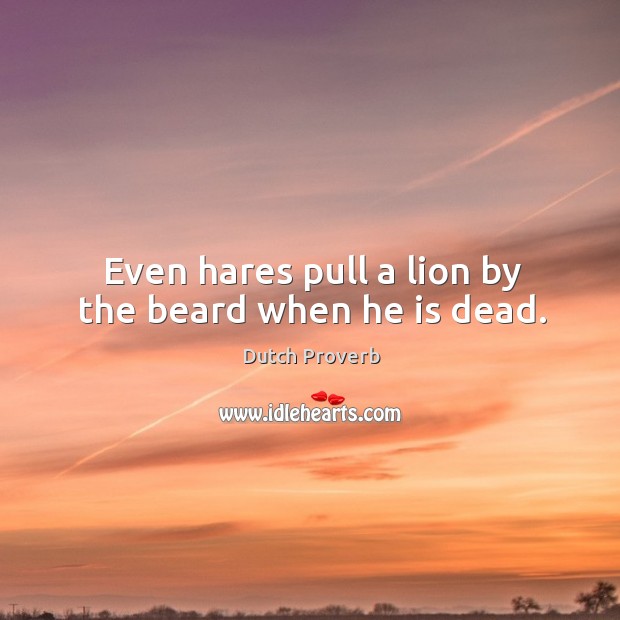 Even hares pull a lion by the beard when he is dead. Dutch Proverbs Image