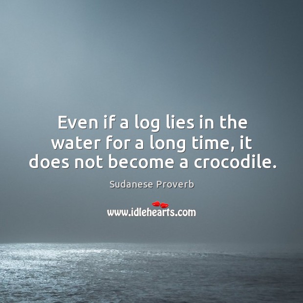 Even if a log lies in the water for a long time, it does not become a crocodile. Sudanese Proverbs Image