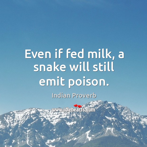 Even if fed milk, a snake will still emit poison. Indian Proverbs Image