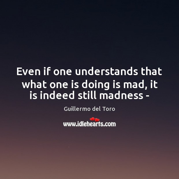 Even if one understands that what one is doing is mad, it is indeed still madness – Guillermo del Toro Picture Quote