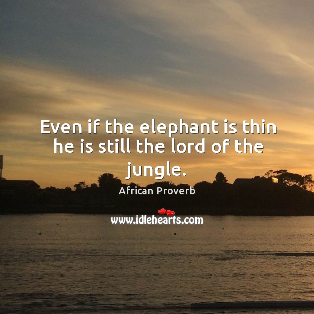 Even if the elephant is thin he is still the lord of the jungle. Image