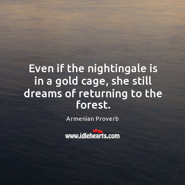 Even if the nightingale is in a gold cage Armenian Proverbs Image