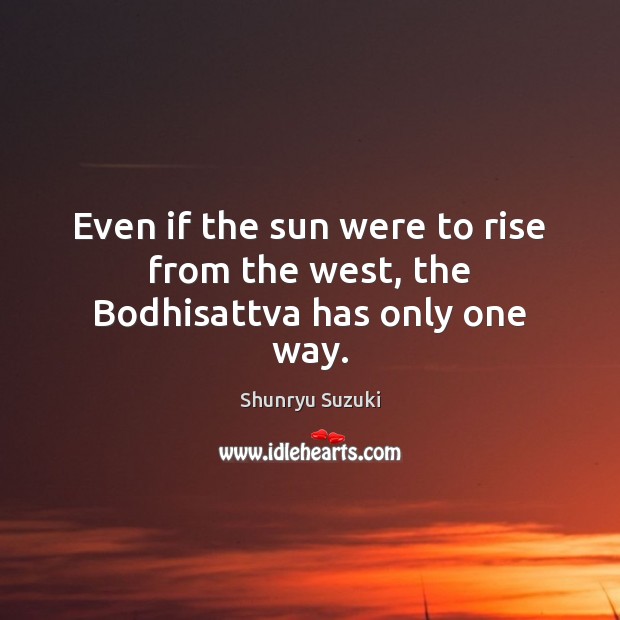 Even if the sun were to rise from the west, the Bodhisattva has only one way. Image