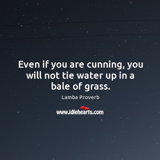 Even if you are cunning, you will not tie water up in a bale of grass. Lamba Proverbs Image