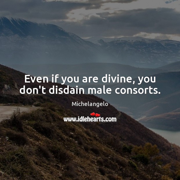 Even if you are divine, you don’t disdain male consorts. Michelangelo Picture Quote