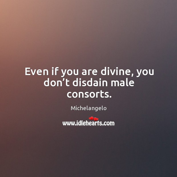 Even if you are divine, you don’t disdain male consorts. Michelangelo Picture Quote