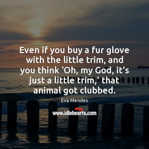 Even if you buy a fur glove with the little trim, and Eva Mendes Picture Quote