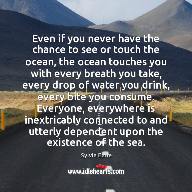 Even if you never have the chance to see or touch the Sylvia Earle Picture Quote