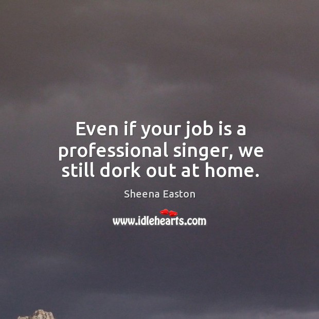 Even if your job is a professional singer, we still dork out at home. Image
