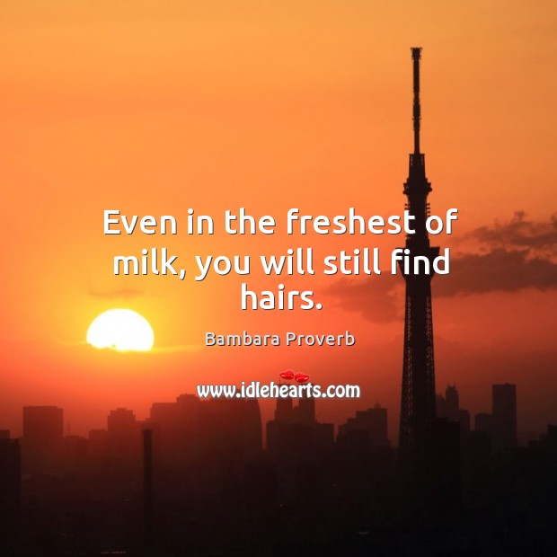 Even in the freshest of milk, you will still find hairs. Bambara Proverbs Image