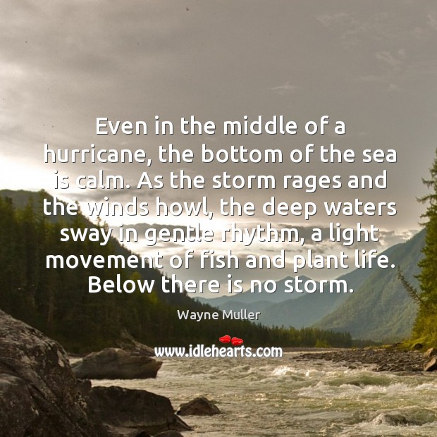 Even in the middle of a hurricane, the bottom of the sea Wayne Muller Picture Quote