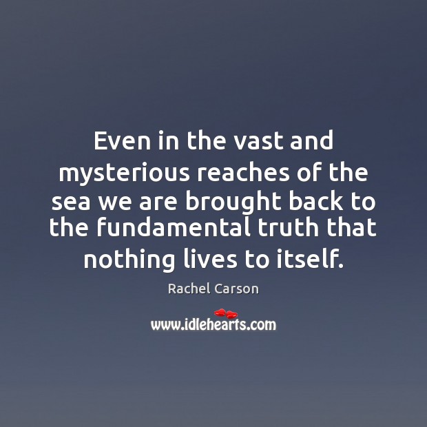 Even in the vast and mysterious reaches of the sea we are Rachel Carson Picture Quote
