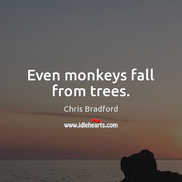 Even monkeys fall from trees. Image
