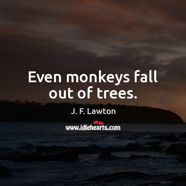 Even monkeys fall out of trees. Image