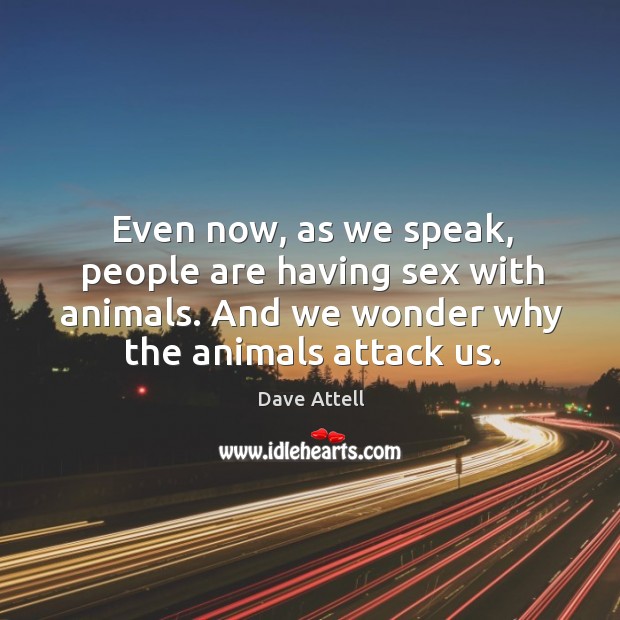 Even now, as we speak, people are having sex with animals. And Dave Attell Picture Quote