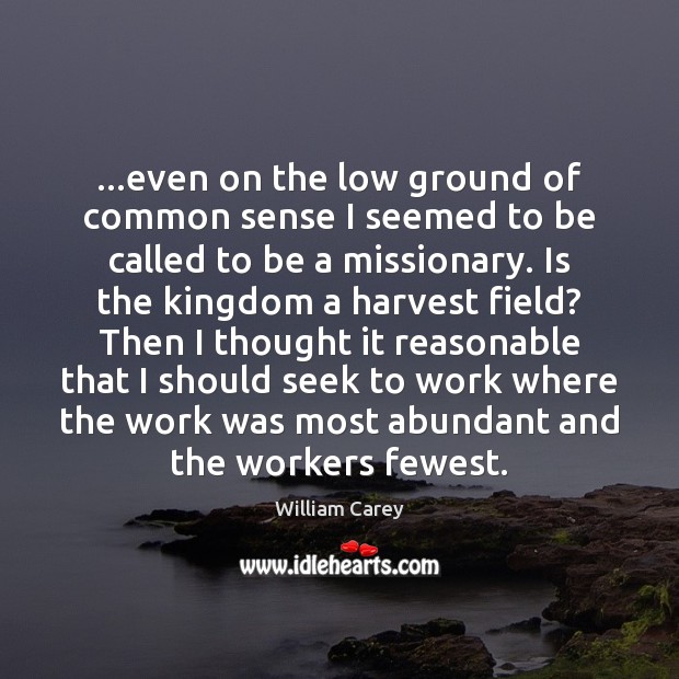 …even on the low ground of common sense I seemed to be William Carey Picture Quote