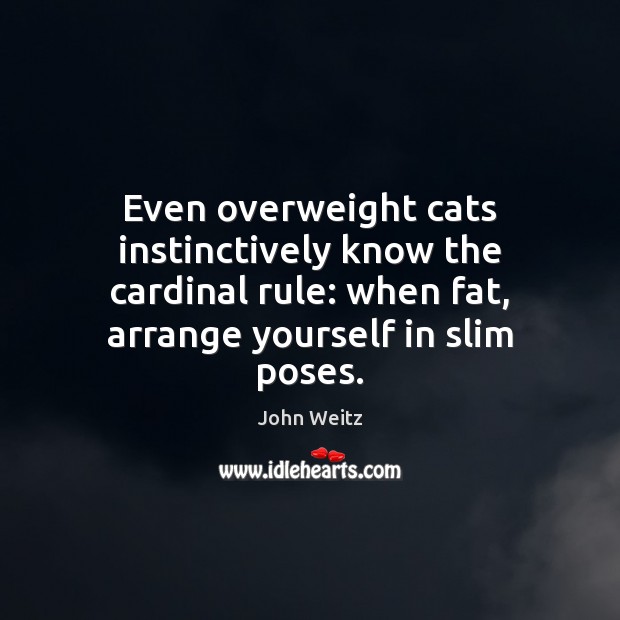 Even overweight cats instinctively know the cardinal rule: when fat, arrange yourself John Weitz Picture Quote