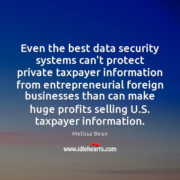 Even the best data security systems can’t protect private taxpayer information from Melissa Bean Picture Quote