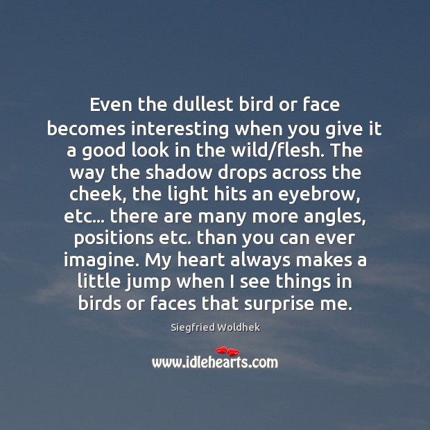 Even the dullest bird or face becomes interesting when you give it Siegfried Woldhek Picture Quote