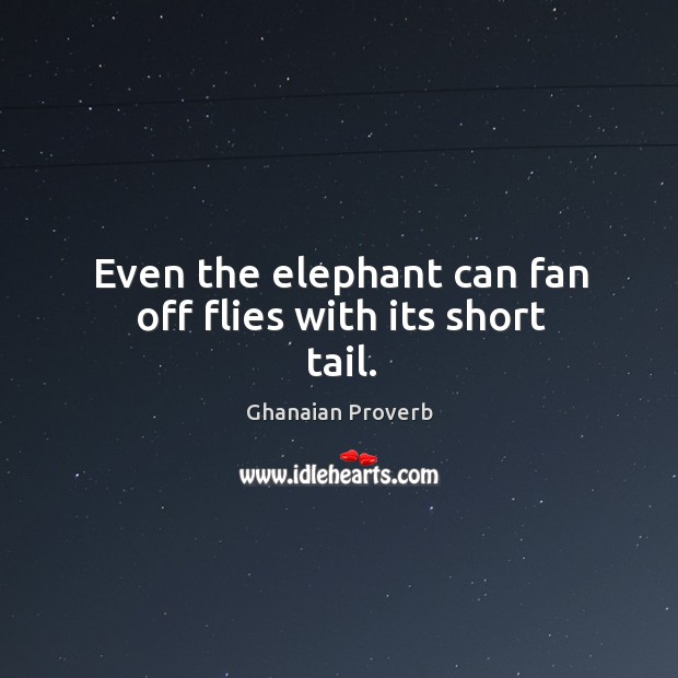 Even the elephant can fan off flies with its short tail. Ghanaian Proverbs Image