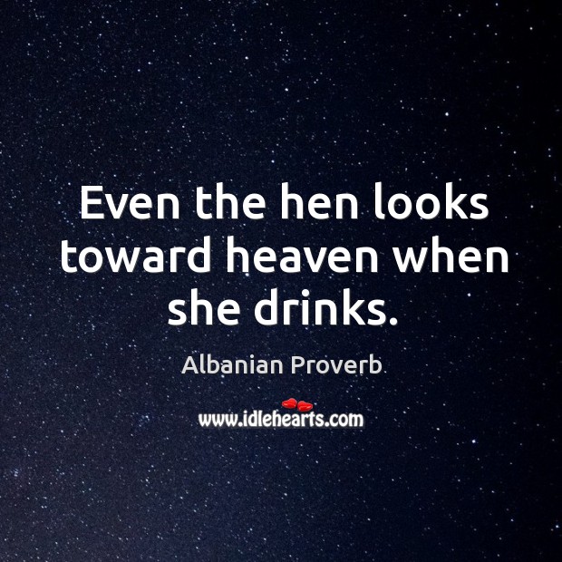 Even the hen looks toward heaven when she drinks. Albanian Proverbs Image