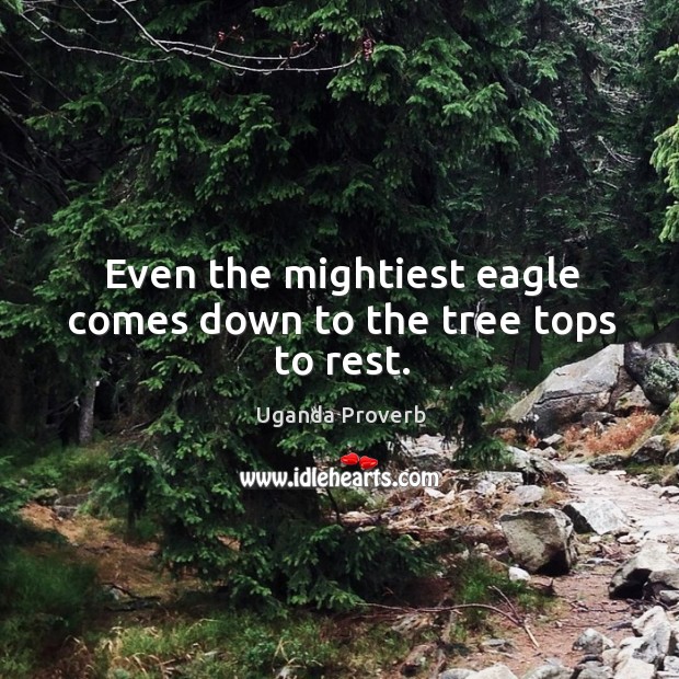 Even the mightiest eagle comes down to the tree tops to rest. Uganda Proverbs Image