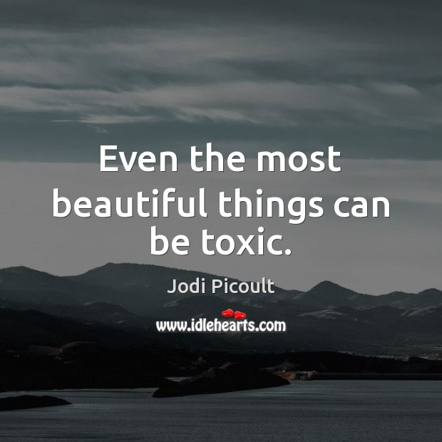 Even the most beautiful things can be toxic. Jodi Picoult Picture Quote