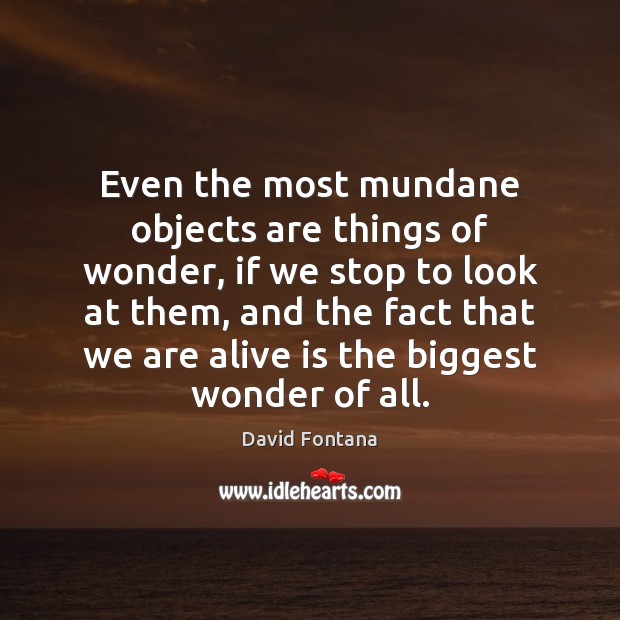Even the most mundane objects are things of wonder, if we stop David Fontana Picture Quote