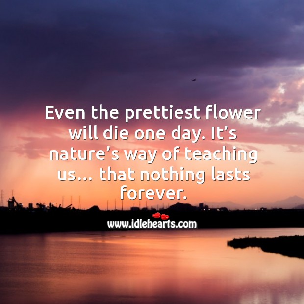 Even the prettiest flower will die one day. It’s nature’s way of teaching us… that nothing lasts forever. Flowers Quotes Image