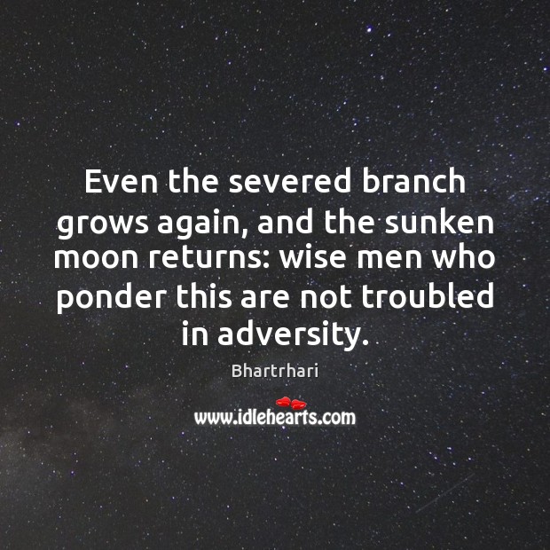 Even the severed branch grows again, and the sunken moon returns: wise Bhartrhari Picture Quote