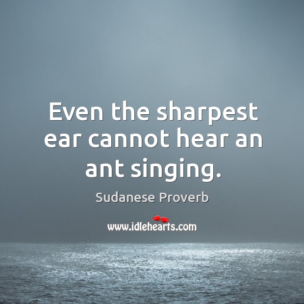 Even the sharpest ear cannot hear an ant singing. Sudanese Proverbs Image