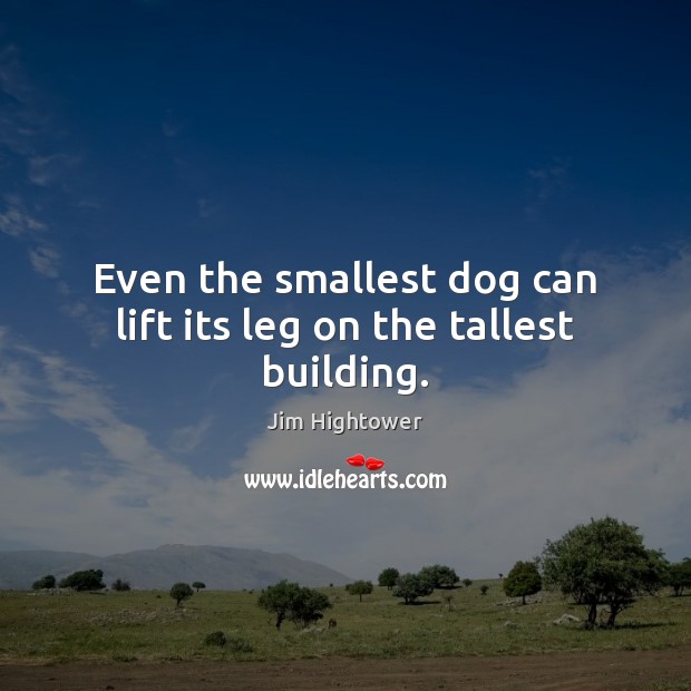 Even the smallest dog can lift its leg on the tallest building. Jim Hightower Picture Quote
