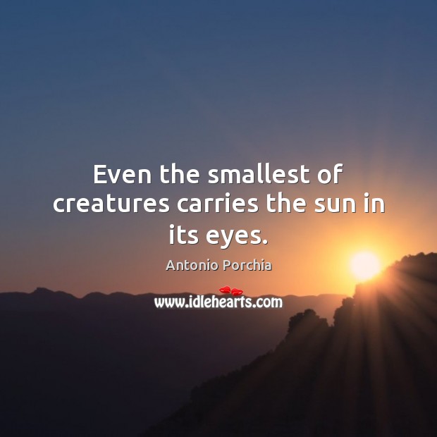 Even the smallest of creatures carries the sun in its eyes. Antonio Porchia Picture Quote