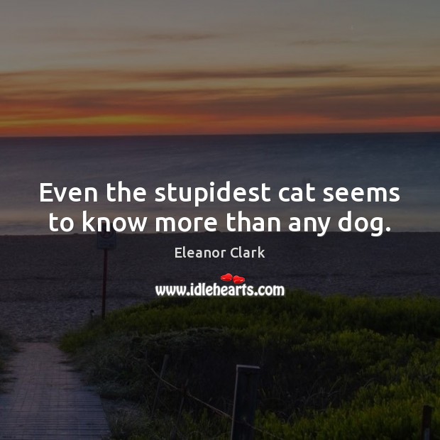 Even the stupidest cat seems to know more than any dog. Eleanor Clark Picture Quote