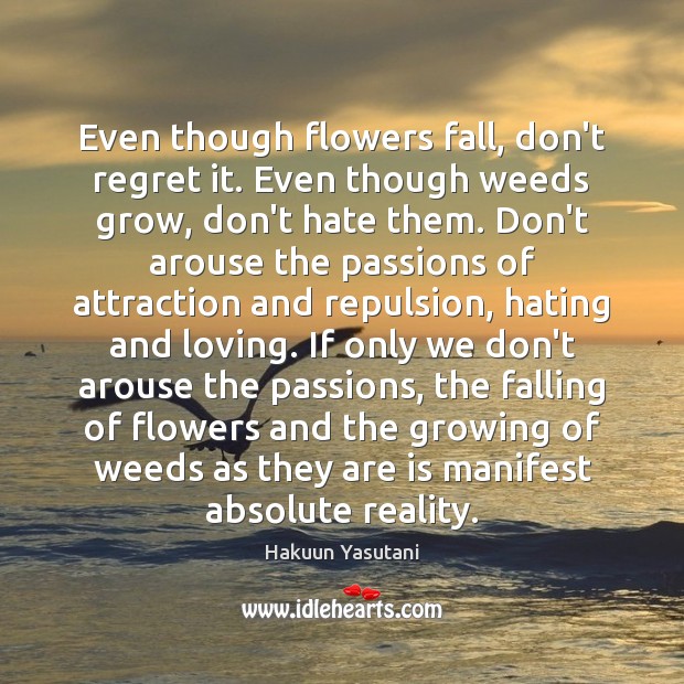 Even though flowers fall, don’t regret it. Even though weeds grow, don’t Image