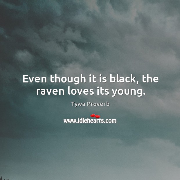 Even though it is black, the raven loves its young. Tywa Proverbs Image