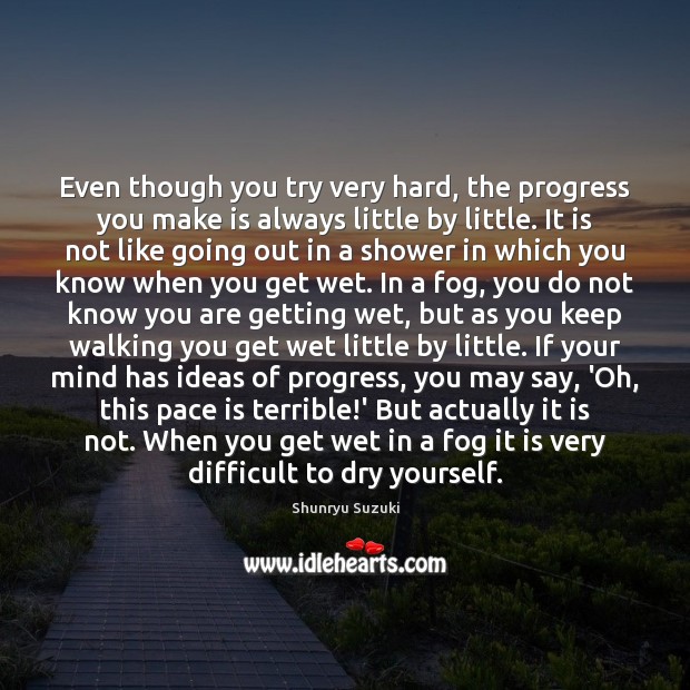 Even though you try very hard, the progress you make is always Shunryu Suzuki Picture Quote