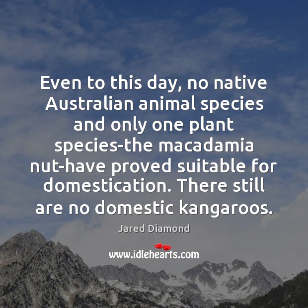 Even to this day, no native Australian animal species and only one Image