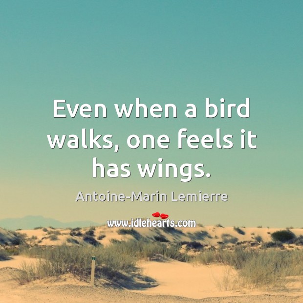 Even when a bird walks, one feels it has wings. Antoine-Marin Lemierre Picture Quote