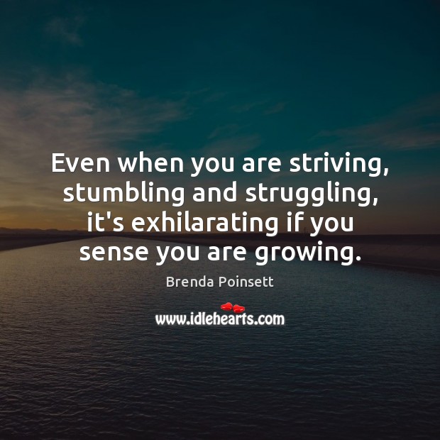 Even when you are striving, stumbling and struggling, it’s exhilarating if you Brenda Poinsett Picture Quote