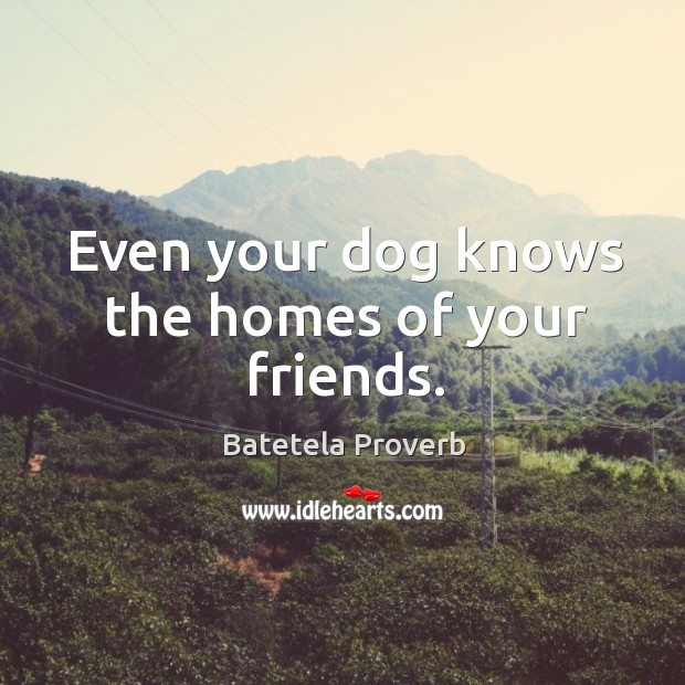 Even your dog knows the homes of your friends. Batetela Proverbs Image