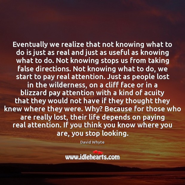 Eventually we realize that not knowing what to do is just as David Whyte Picture Quote